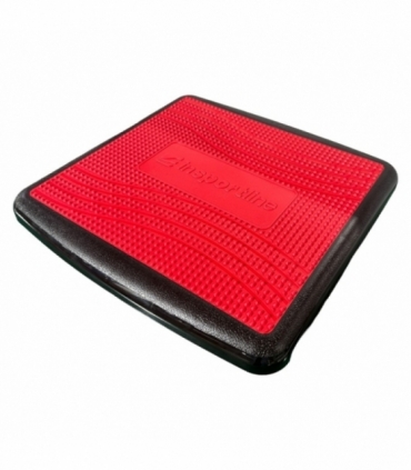 Accesoriu de Echilibru inSPORTline Nellio
