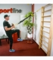 Multitrainer inSPORTline, Army
